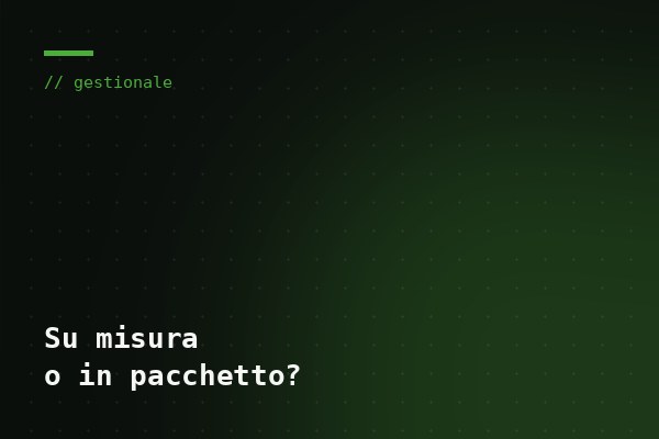 Gestionale su misura o in pacchetto: come scegliere